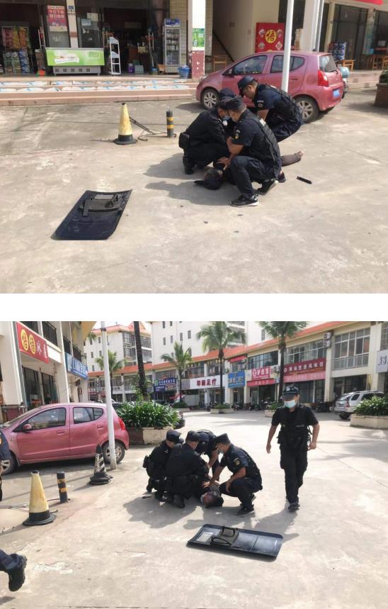 勐腊县城镇派出所成功送治一名肇事肇祸精神病患者 