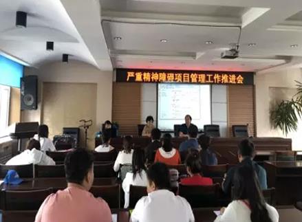 桦南县召开严重精神障碍项目管理工作推进会 