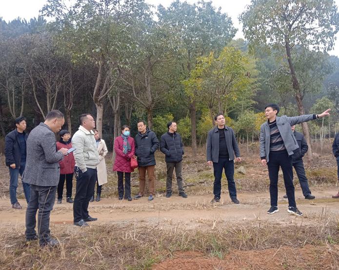 三明市宁化县卫健局组织开展宁化大生精神病医院迁建建设选址调研 